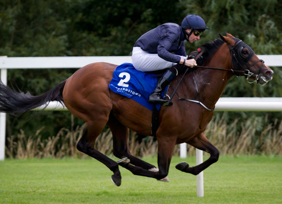 Fastnet Rock Colt Impresses At Leopardstown