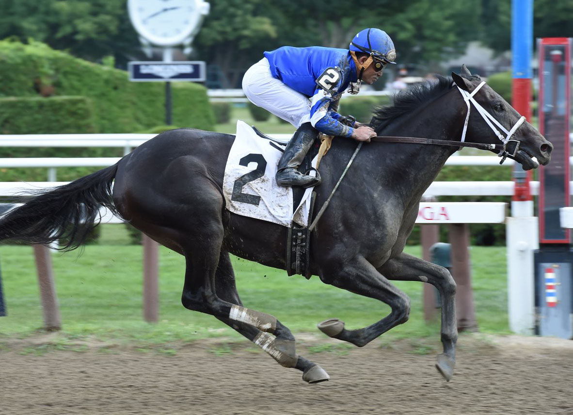 Bernardini Firster Becomes A 'tdn Rising Star' At The Spa