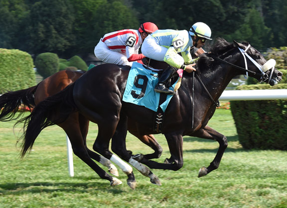 Lonhro Colt Scores in Salty Spa Maiden