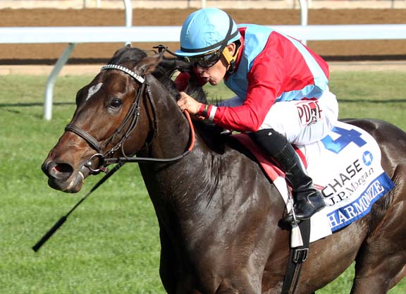 Harmonize Mows Them Down in the Del Mar Oaks