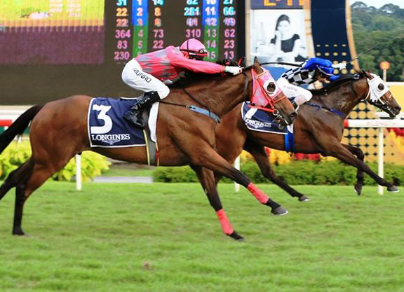 Cooptado Up in Singapore Gold Cup