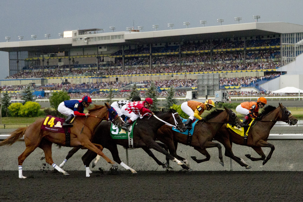 Horses on Woodbine’s tapeta