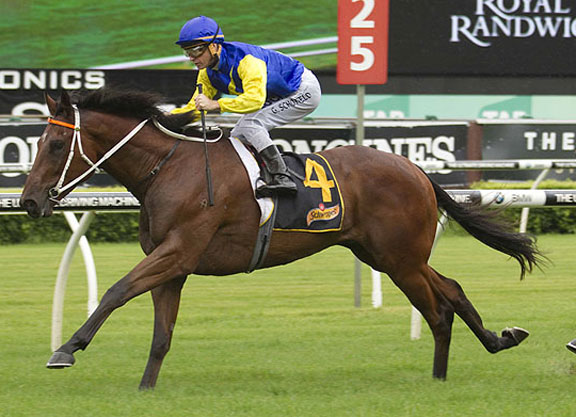 Australian Review By James Harron Bloodstock