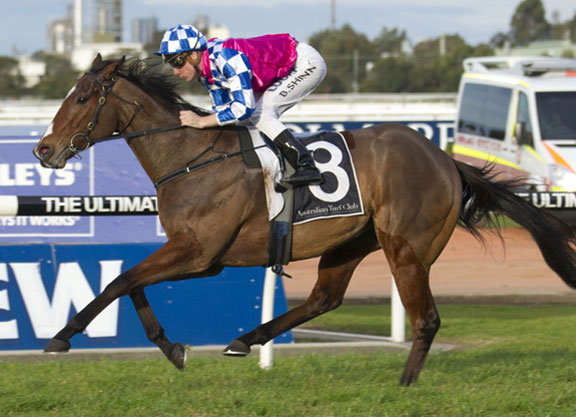 Fell Swoop Seeking Spotlight In BTC CupFell Swoop Seeking Spotlight In ...