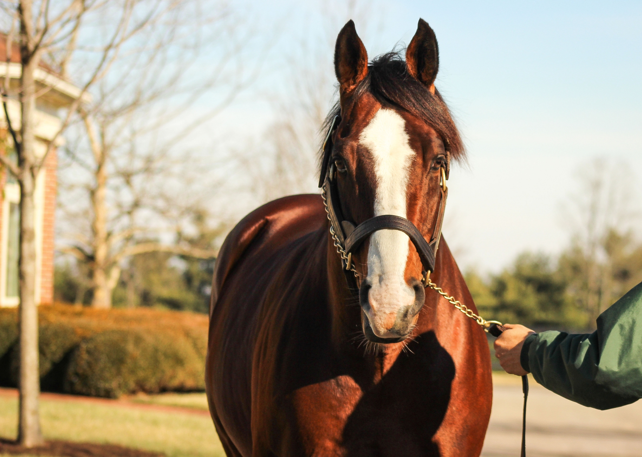 Union Rags Firster Scores for Romans at ChurchillUnion Rags Firster ...