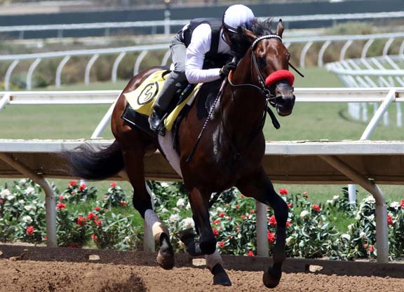 Champs Work at Del Mar