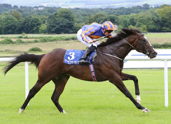 War Front's Leo Minor Graduates At Naas