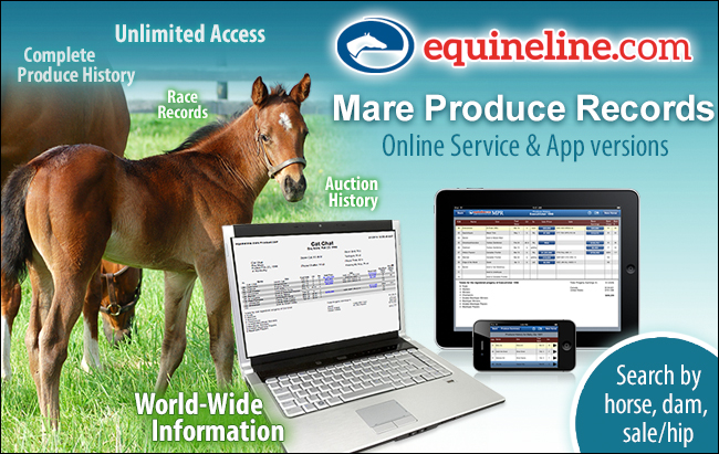 Equineline – 304 – Mare Produce Records 06/12/2024