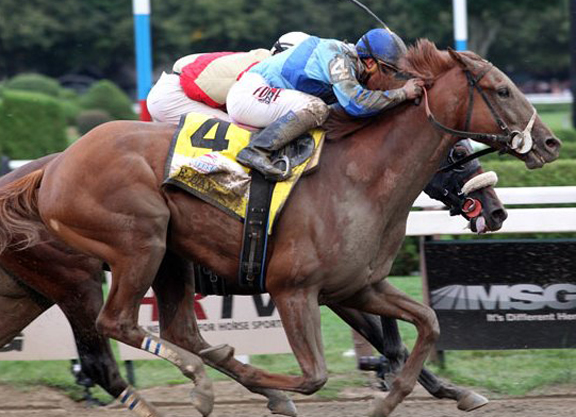 Travers Hero V.E. Day Retired to Waldorf Farm