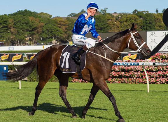 Winx Crowned Champion Racehorse Again