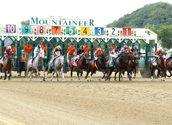 Colonelsdarktemper Coast-to-Coast in WV Derby