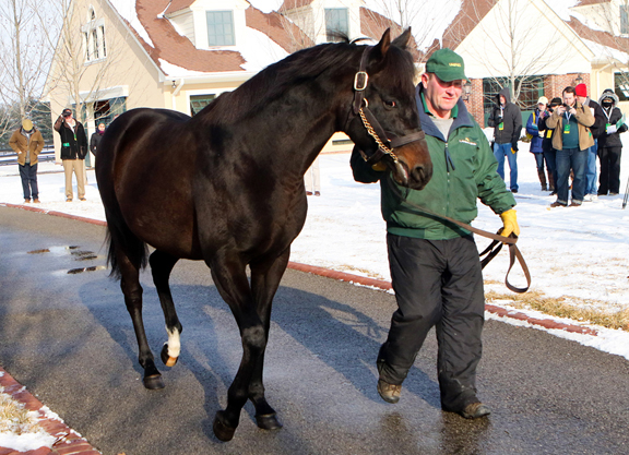 Connect, Unified on Parade at Lane's End Event