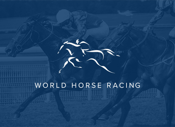 World Horse Racing Launched