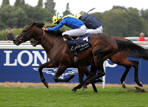 Longines Releases World's Best Racehorse Rankings