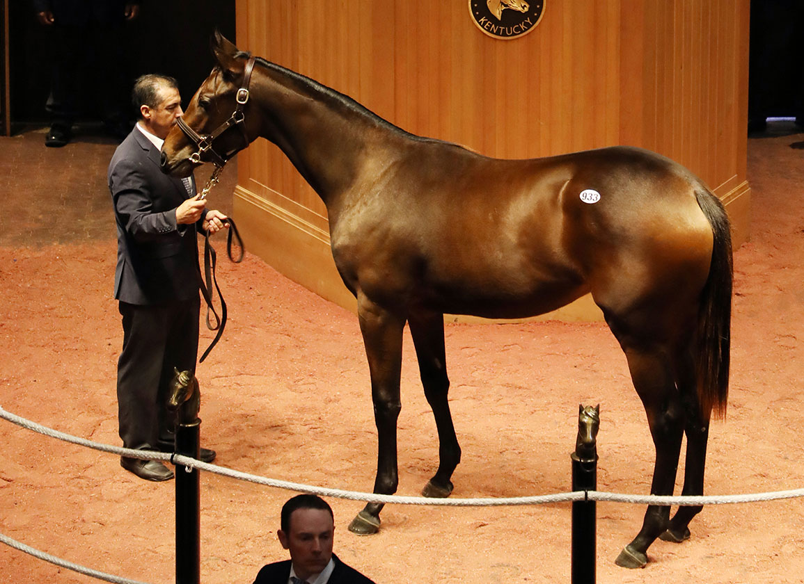 Steady Trade Marks Day Three at FasigTipton October Sale