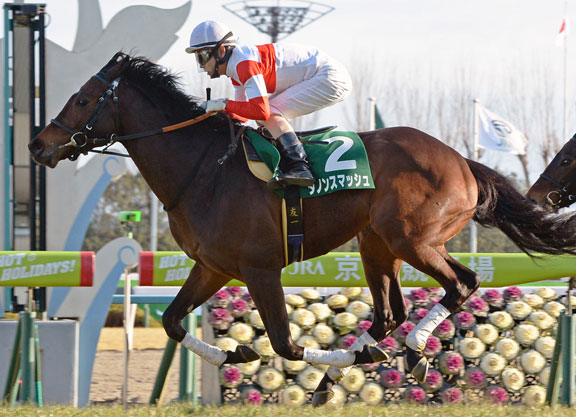 Danon Smash Looks To Emulate Sire in Takamatsunomiya Kinen