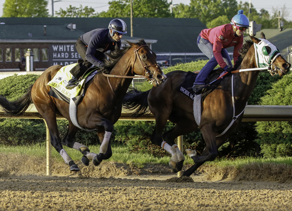 Spendthrift Acquires Breeding Rights To Omaha