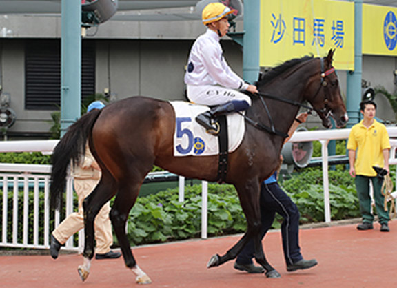 Son of Medaglia d'Oro Takes Next Step Towards Classics in HK