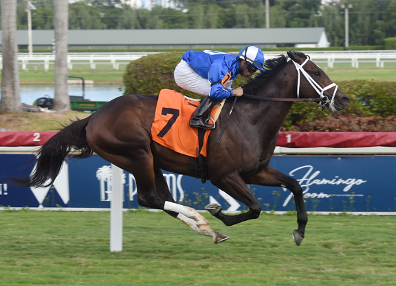 Summer Front Colt Graduates at Gulfstream