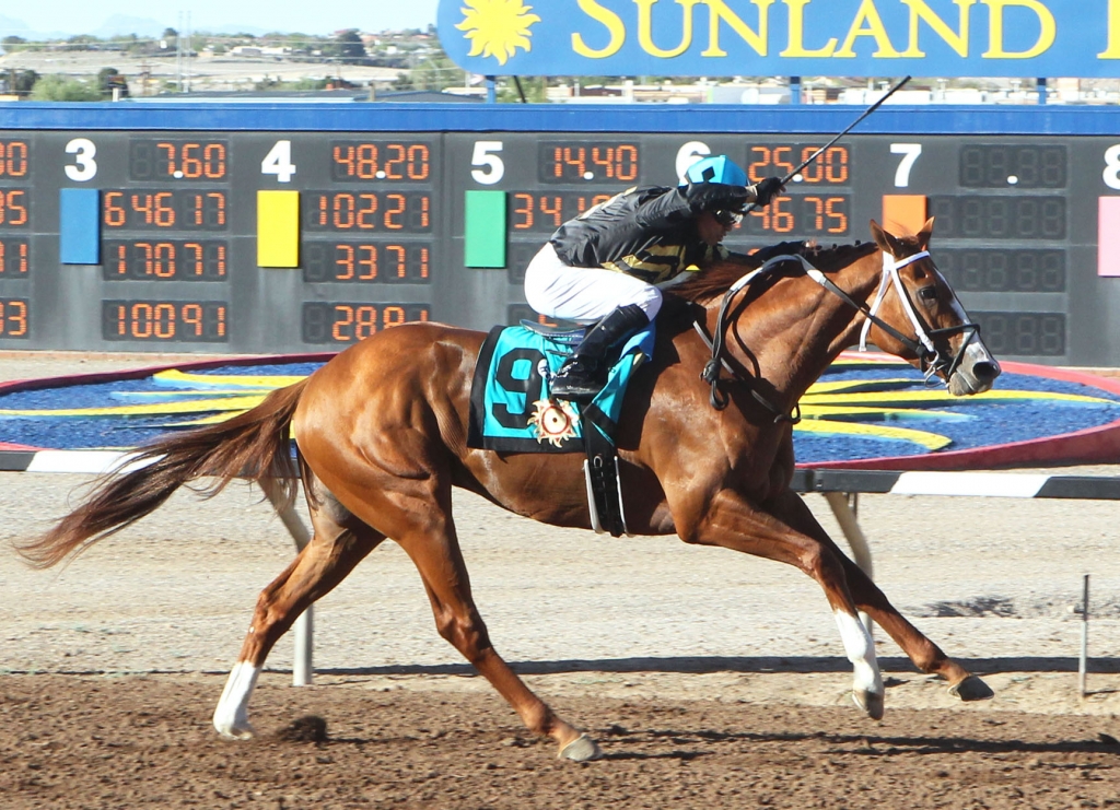 New Mexico Racing Archives TDN Thoroughbred Daily News Horse