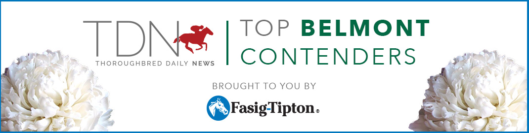 TDN Top Triple Crown Contenders