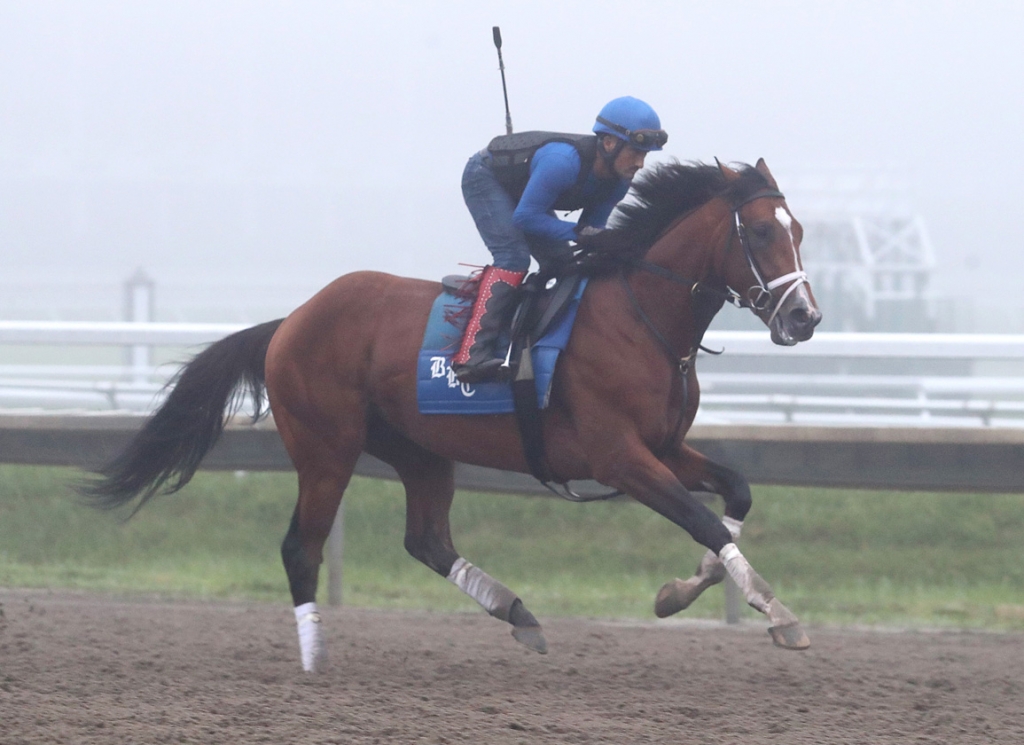 Forty Niner Archives - TDN | Thoroughbred Daily News | Horse Racing ...