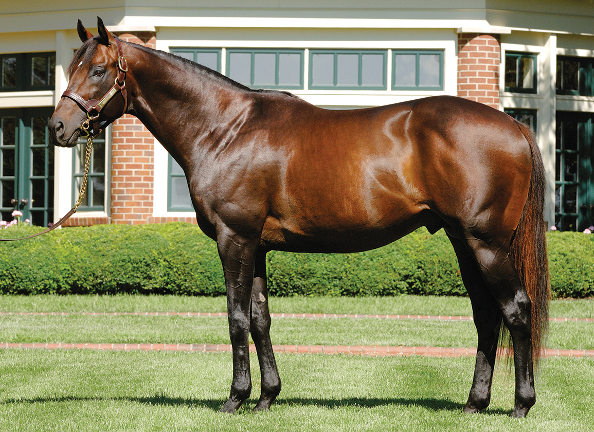 Kentucky Value Sires For 2025–Part 3: The $10K Club