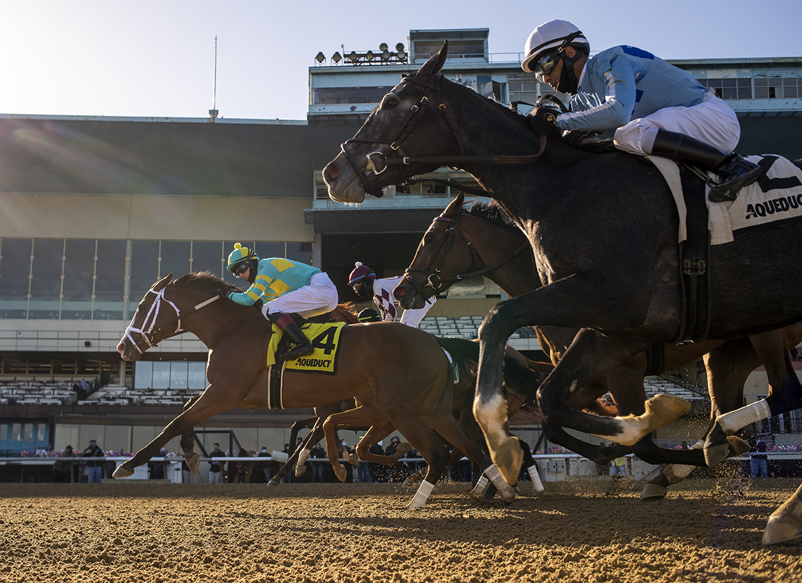 Wood Carter Highlight Aqueduct Spring Stakes Schedule