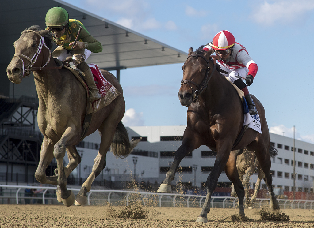 Wood Memorial Stakes Archives TDN Thoroughbred Daily News Horse