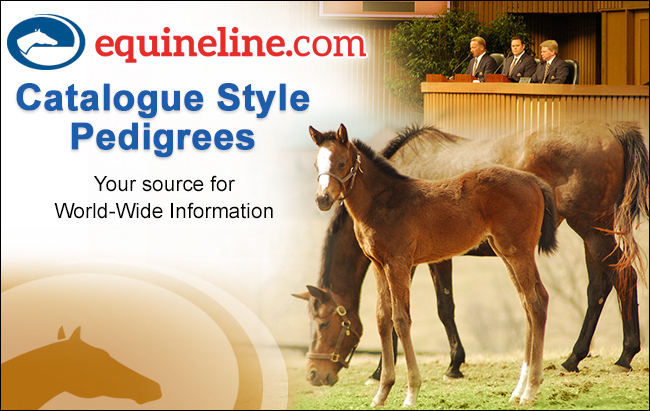 Equineline – 301 – Catalog style pedigrees 10-1-24