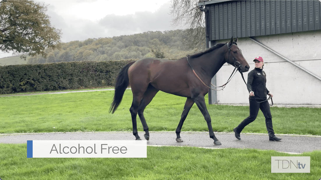 Four Time G1 Winner Alcohol Free To Tattersalls Sceptre Sessions