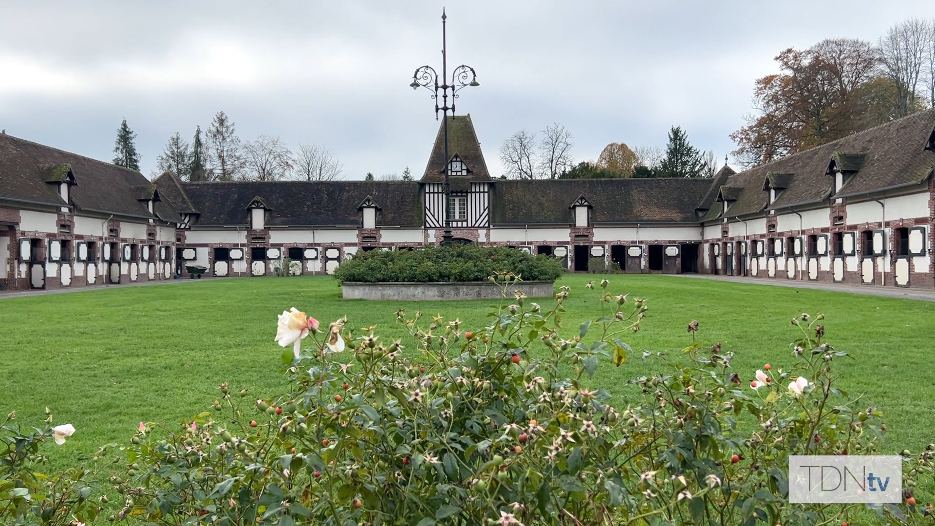 Haras du Quesnay Prepares for Dispersal at Arqana