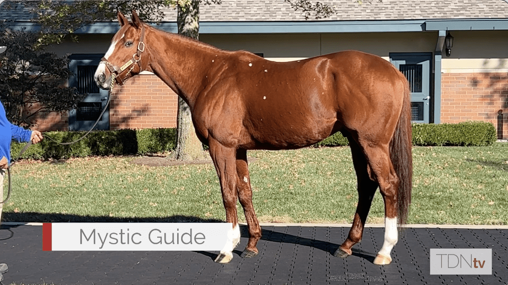 Grade I Winners Mystic Guide and Speaker's Corner Join Darley Roster