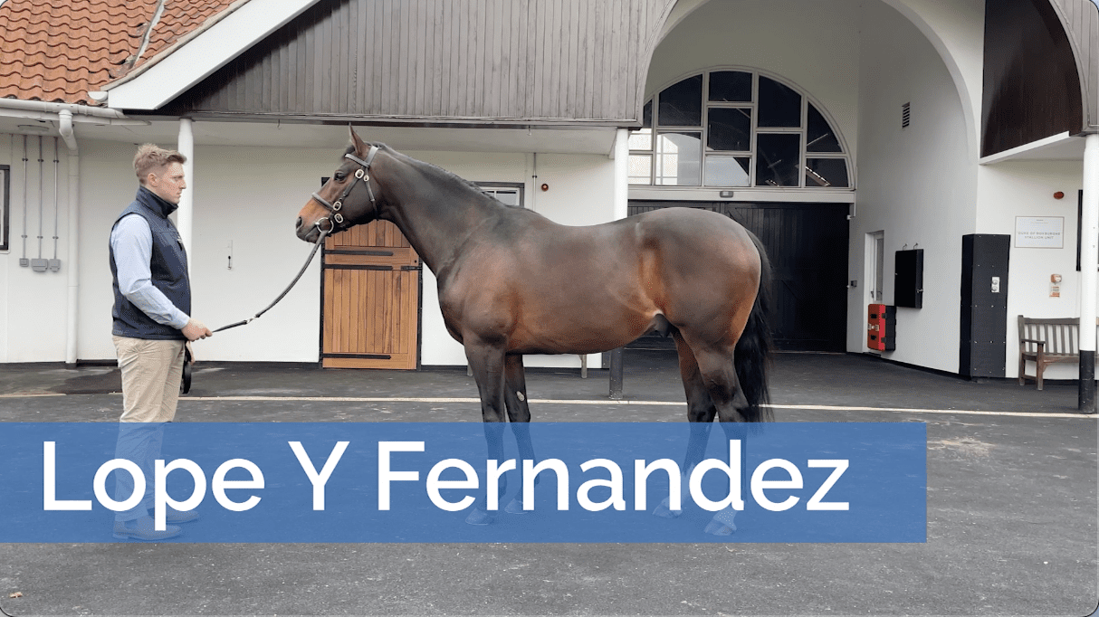 Lope Y Fernandez Bolstered By Connections