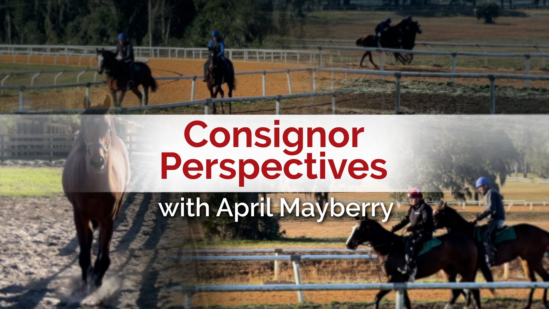 Consignor Perspectives with April Mayberry