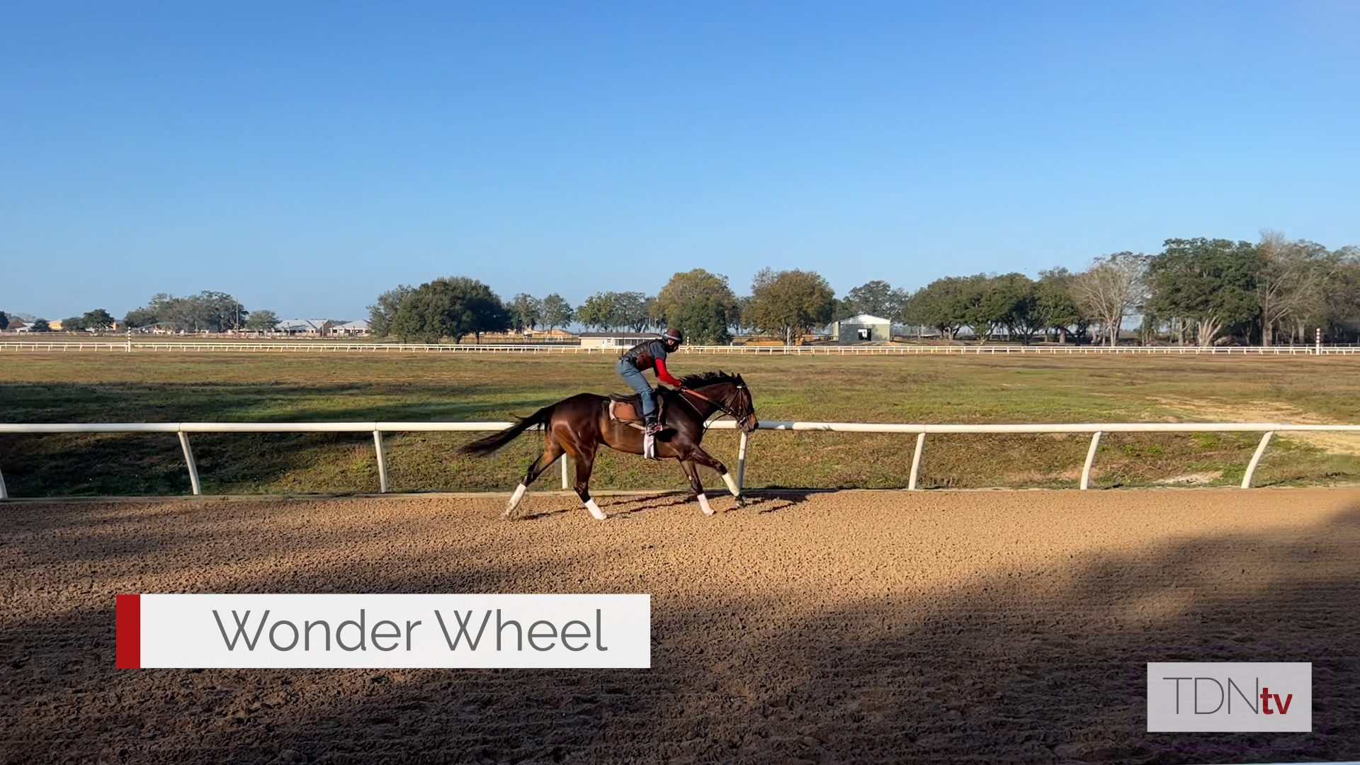 Champion Wonder Wheel Ready to Launch 3-Year-Old Campaign