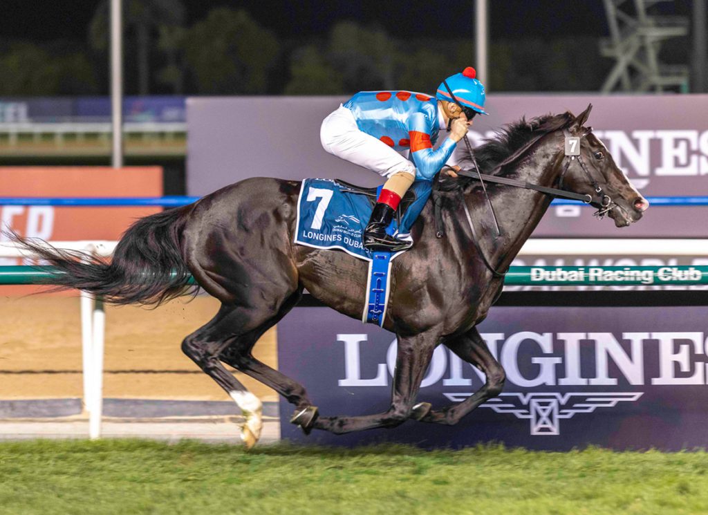 Longines Dubai Sheemas Classic Archives - TDN | Thoroughbred Daily News ...