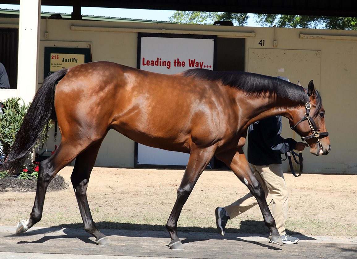 1.2Million Justify Colt Stars at Strong OBS March Opener