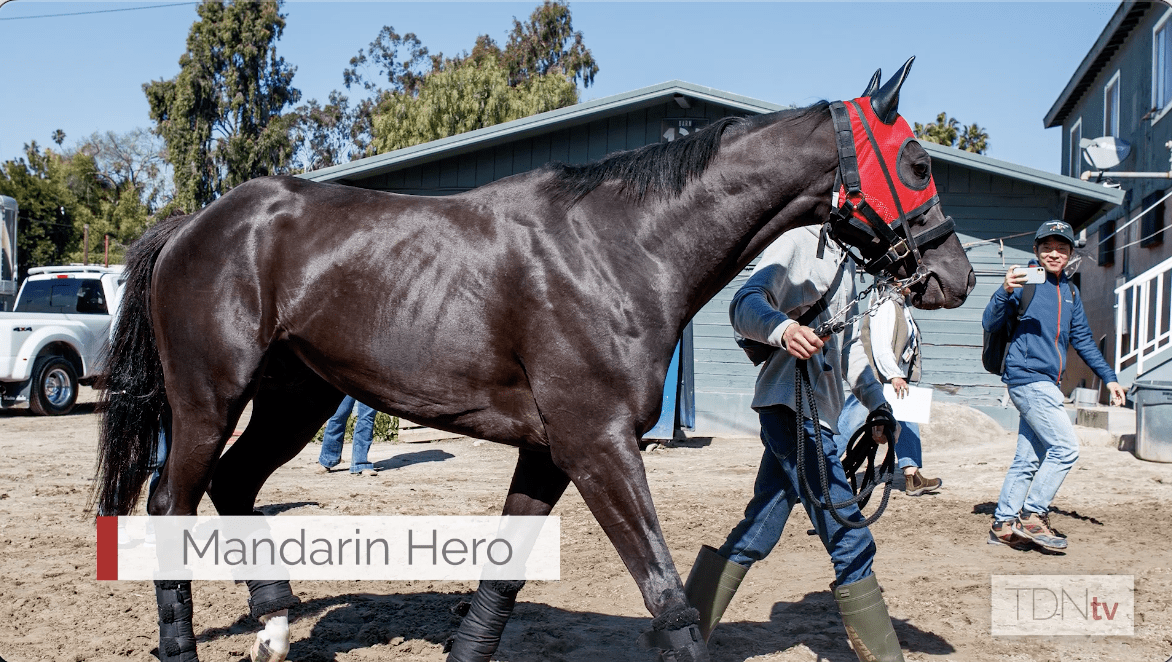 1/ST Things 1/ST: Mandarin Hero arrives at Santa Anita