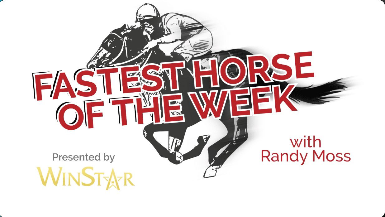 Not one, but two fastest horses this week!