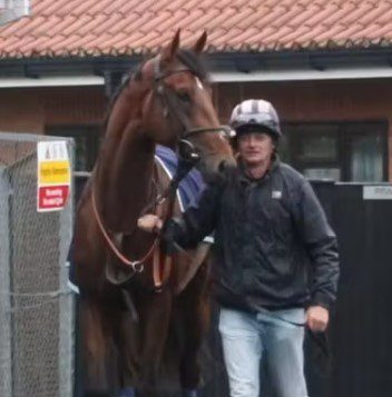 Desert Crown Gallops At Newmarket's Rowley Mile