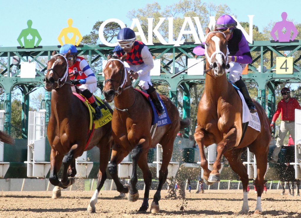 Oaklawn stakes schedule Archives TDN Thoroughbred Daily News