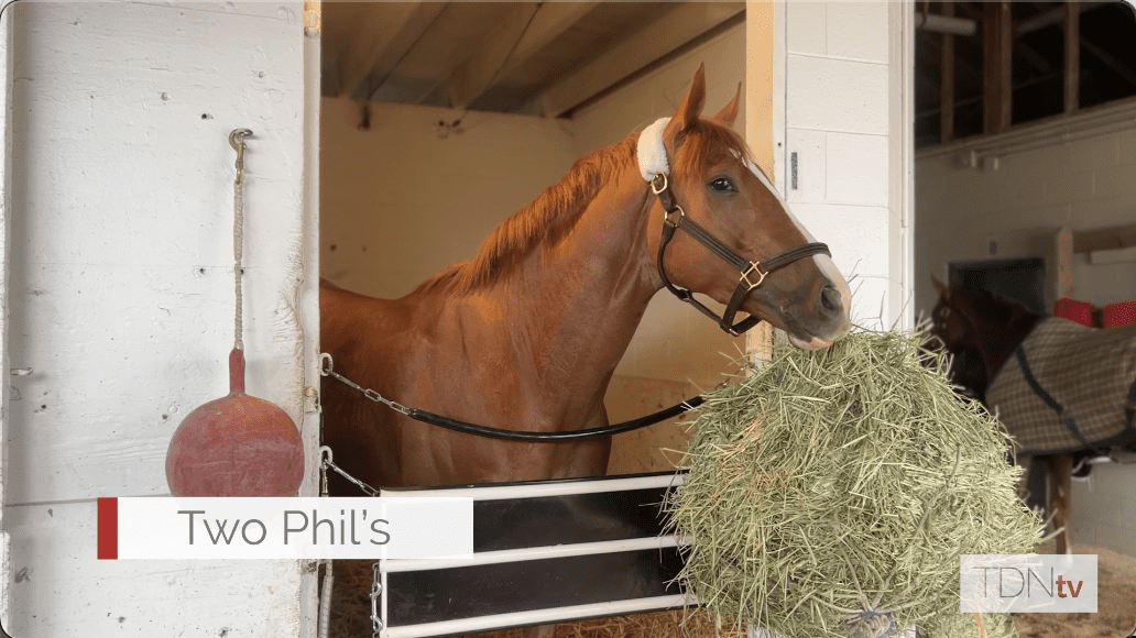 Kentucky Derby-Bound Two Phil's carries the flag for Chicago connections