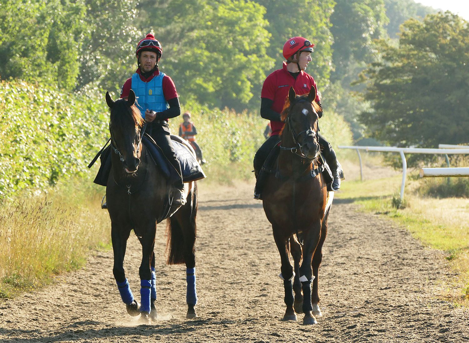 Australian Sprinter Artorius Aiming For Glory At Royal Ascot