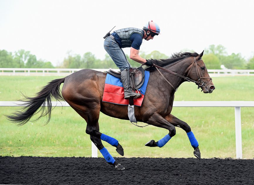 Miss Temple City Archives - TDN | Thoroughbred Daily News | Horse ...