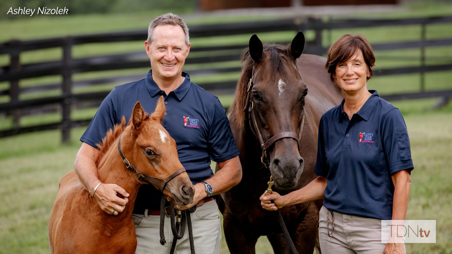 Thirty Year Farm sends first yearling to Fasig-Tipton Saratoga