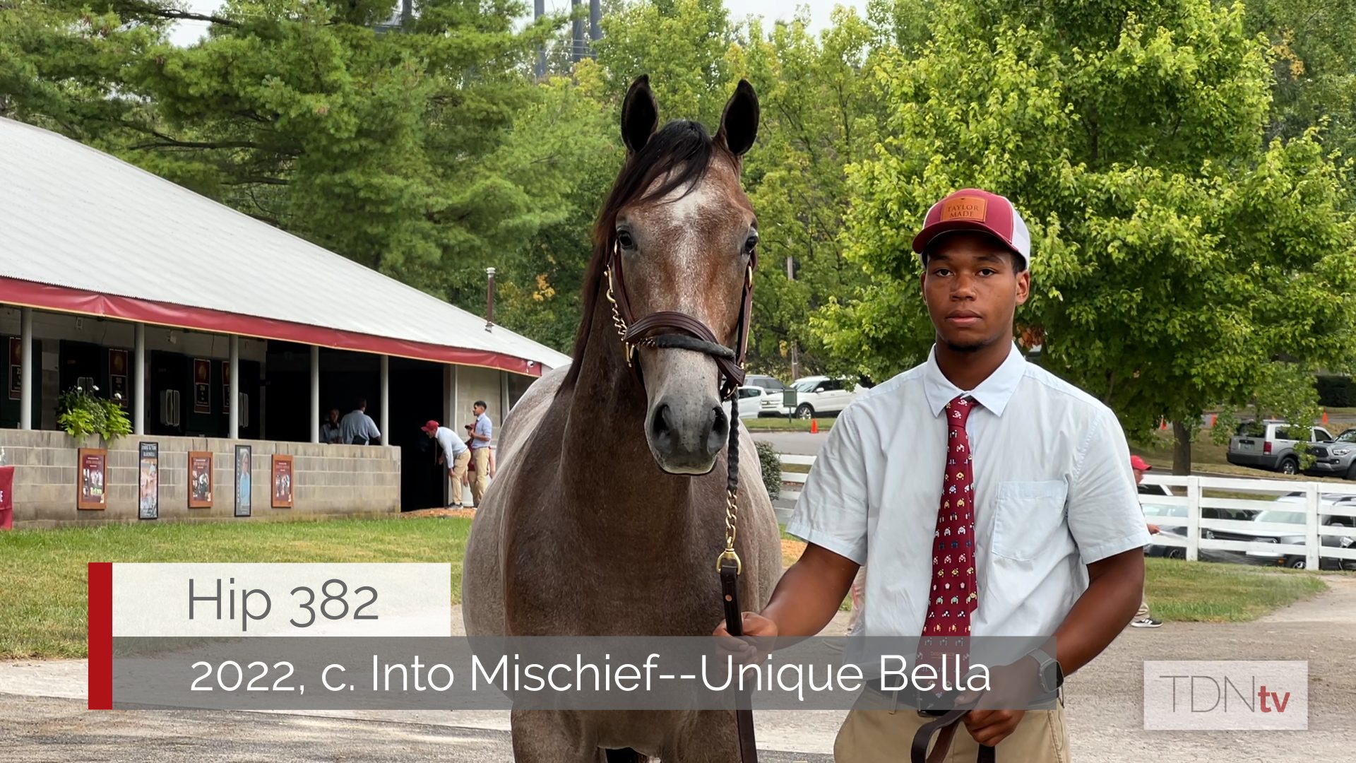 Unique Bella's son headlines Don Alberto's Keeneland Lineup