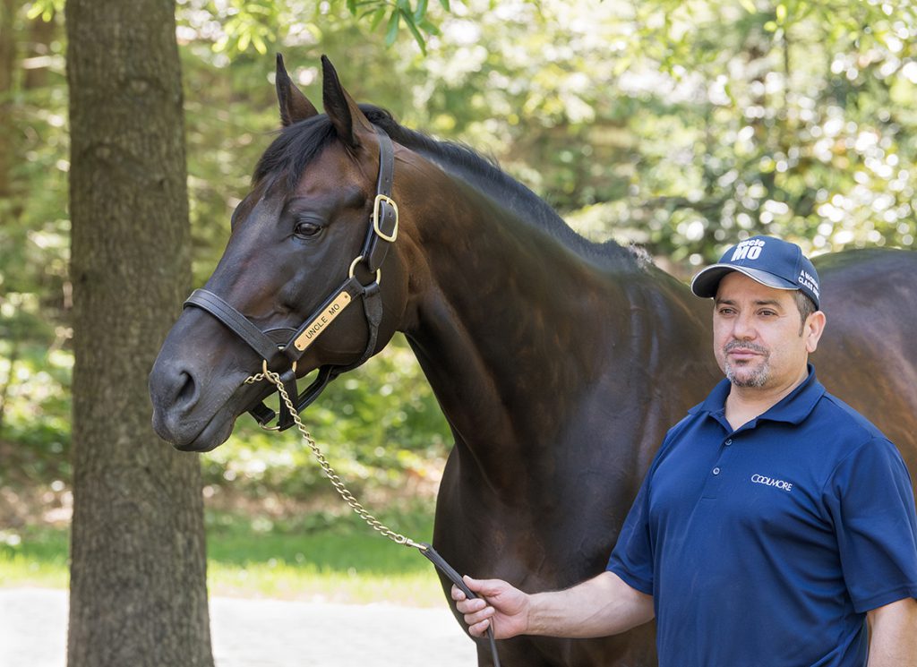 2024 Mating Plans Archives - TDN | Thoroughbred Daily News | Horse ...