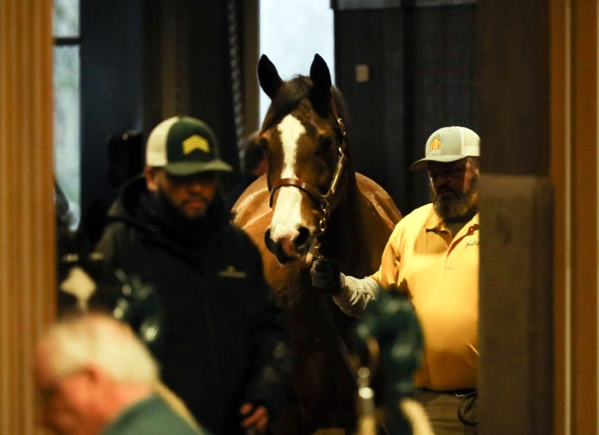 Keeneland January Sale Stays Steady On Day Three   Keeneland January 2024 Scenic KSscenics1 7 24KLD3396 KEEJAN24 PRINT Credit Keeneland 866x630 