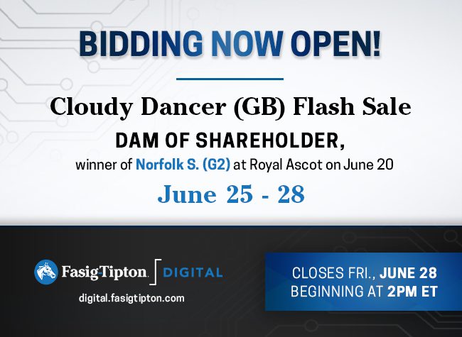 Fasig-Tipton digital (Cloudy Dancer) 06-26-24